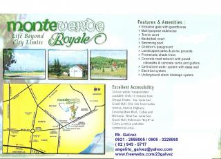 FOR SALE: Lot / Land / Farm Rizal 1