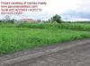 Lot View 2