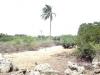 2 hectares lot for sale