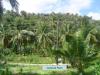 FOR SALE: Beach / Resort Albay > Other areas 3