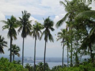 FOR SALE: Lot / Land / Farm Davao del Sur > Samal 3