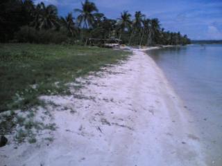 FOR SALE: Beach / Resort Pangasinan 1