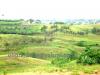 FOR SALE: Lot / Land / Farm Tagaytay