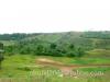 FOR SALE: Lot / Land / Farm Tagaytay 2