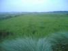 lot land for sale, farm foe sale, ricefield for sale, palayan for sale for sale in phils.