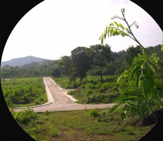 FOR SALE: Lot / Land / Farm Rizal