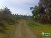 FOR SALE: Lot / Land / Farm Batangas