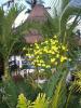 Flowers and gazebo