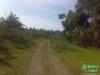 FOR SALE: Lot / Land / Farm Batangas > Lipa City