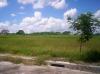 FOR SALE: Lot / Land / Farm Cavite > Dasmarinas 4