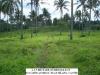 FOR SALE: Lot / Land / Farm Cavite > Silang