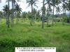 FOR SALE: Lot / Land / Farm Cavite > Silang 1