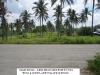 FOR SALE: Lot / Land / Farm Cavite > Silang 2