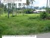 FOR SALE: Lot / Land / Farm Cavite > Silang 3