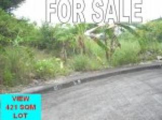 FOR SALE: Lot / Land / Farm Cebu 1