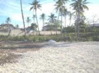 FOR SALE: Lot / Land / Farm Cebu 1