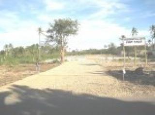 FOR SALE: Lot / Land / Farm Cebu 3