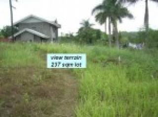 FOR SALE: Lot / Land / Farm Cebu