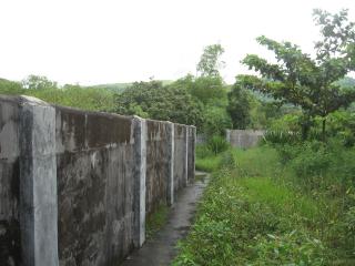 FOR SALE: Lot / Land / Farm Zambales 2