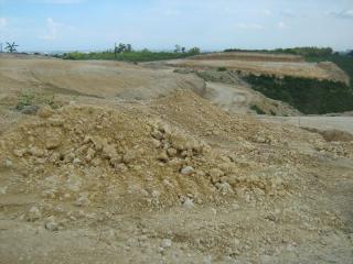 FOR SALE: Lot / Land / Farm Cebu > Other areas 3