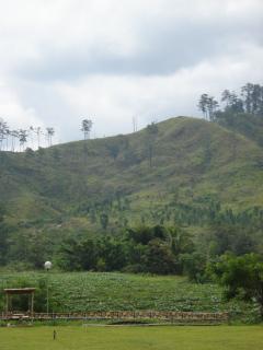 FOR SALE: Lot / Land / Farm Bukidnon > Malaybalay City 1