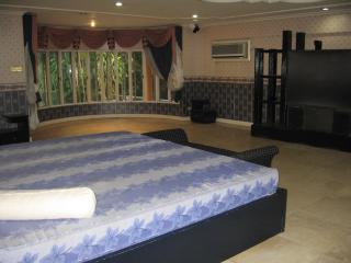 Masters bedroom with jacuzzi and wide flat screen TV