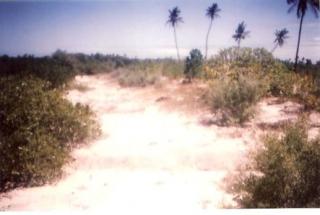 FOR SALE: Lot / Land / Farm Cebu > Mactan 1