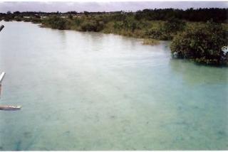 FOR SALE: Lot / Land / Farm Cebu > Mactan 2