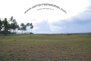 View from the middle of the property to the beach