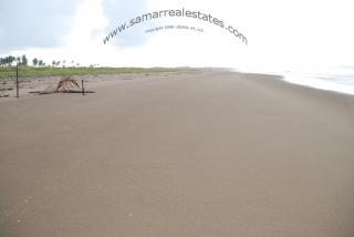 View of the beach facing west