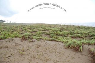 Boundary of the grass and the sand 