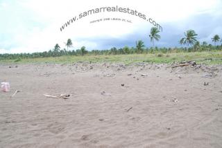 View of the subdivision from the beach