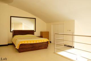 fully furnished 1 bedroom loft for rent 