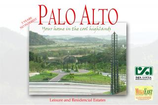 palo alto