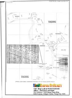 FOR SALE: Lot / Land / Farm Manila Metropolitan Area > Other areas 2