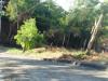 FOR SALE: Lot / Land / Farm Cebu 4