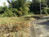 FOR SALE: Lot / Land / Farm Cebu 7