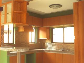 the kitchen area