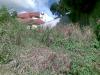 FOR SALE: Lot / Land / Farm Cebu > Cebu City 1