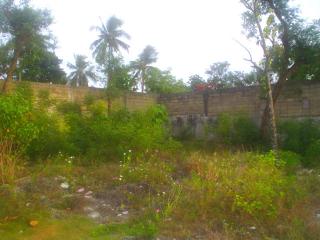 FOR SALE: Lot / Land / Farm Cebu > Mactan 2