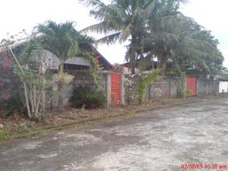 FOR SALE: Lot / Land / Farm Iloilo > Other areas