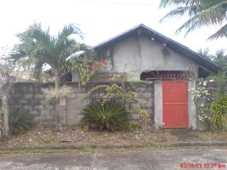 FOR SALE: Lot / Land / Farm Iloilo > Other areas 1