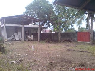 FOR SALE: Lot / Land / Farm Iloilo > Other areas 3