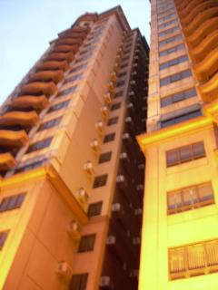 FOR SALE: Apartment / Condo / Townhouse Manila Metropolitan Area > Paranaque 11