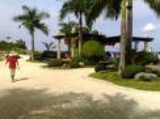 FOR SALE: Lot / Land / Farm Cebu > Mactan