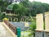 FOR SALE: Lot / Land / Farm Batangas 1