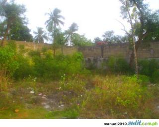 FOR SALE: Lot / Land / Farm Cebu > Mactan