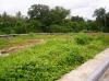 FOR SALE: Lot / Land / Farm Cavite > Dasmarinas 5