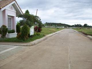 FOR SALE: Lot / Land / Farm Batangas 4