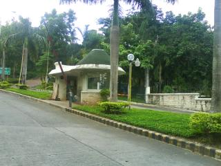 FOR SALE: Lot / Land / Farm Rizal > Antipolo 2